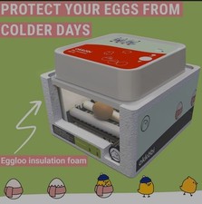 Egg incubator hatcher for sale  WATFORD