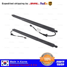 UNIDADE DE ACIONAMENTO genuína Assy Power tampa traseira LH+RH para Hyundai Santa Fe 2019-2020 comprar usado  Enviando para Brazil