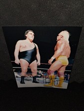 Foto 8x10 assinada por Hulk Hogan WWF "CHAMPION" "Andre The Giant" com certificado de autenticidade da WWE rara comprar usado  Enviando para Brazil