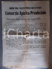 1930 pesaro alveari usato  Milano