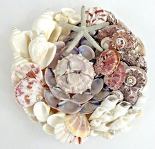 Nautical sea shell for sale  Moreland