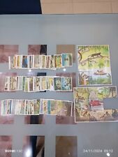Lotto 281 figurine usato  Torre del Greco