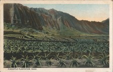 Pineapple plantation oahu for sale  USA