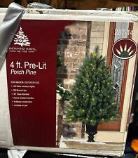 Enchanted forest potted for sale  Ogden