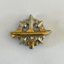 Pin insigne brevet d'occasion  Aizenay