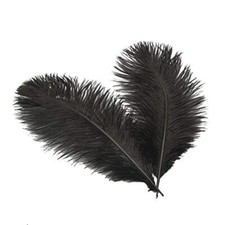 8inch ostrich feathers for sale  Miami
