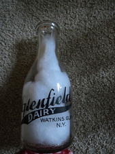 Vintage watkins glen for sale  New Ringgold