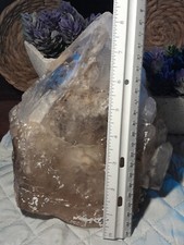 Natural elestial alligator for sale  Crescent