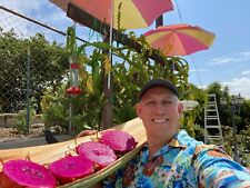 Best dragon fruit for sale  Westlake Village