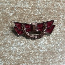 Ddr abzeichen bestenschleife gebraucht kaufen  Lengenfeld