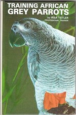 Training african grey for sale  UK
