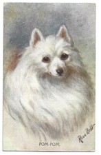 Antica cartolina animali usato  Savona