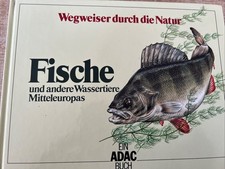 Fische wegweiser durch gebraucht kaufen  Kirchheimbolanden