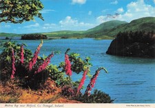 Irlande milford mulroy d'occasion  France