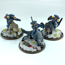 Thunderwolf cavalry space for sale  CHICHESTER