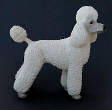 Standard white poodle for sale  WARRINGTON