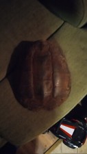 Real snapping turtle for sale  Mountain Home