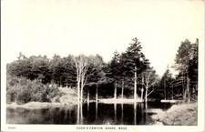 Barre massachusetts nature d'occasion  Expédié en Belgium