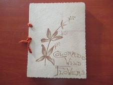 Vintage dried pressed for sale  HORLEY