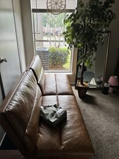 Burnt orange brown for sale  Memphis