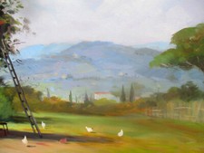 Franco biondi paesaggio usato  Italia