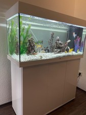 Aquarium wert 300 gebraucht kaufen  Northeim