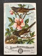 Oregon snow bird for sale  Sauk Rapids