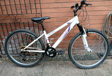 Apollo elusion girls for sale Apollo elusion girls for sale  SHREWSBURY