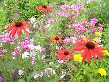 Blumen wiesen mischung gebraucht kaufen  Langenberg