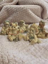 Calico kittens pieces for sale  SUDBURY