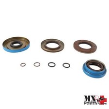 Kit paraolio assale usato  Italia