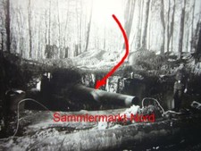 124 foto westfront gebraucht kaufen  Deutschland