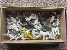 Miscellaneous farm animals for sale  COLCHESTER