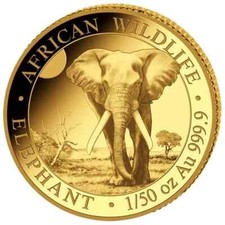 Somalia elefant 2025 gebraucht kaufen  Borgholzhausen