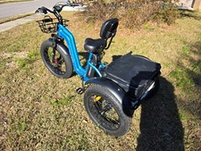 Maxfoot z24 electric for sale  Fairhope