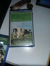 Pink floyd atom usato  Paderno d'Adda