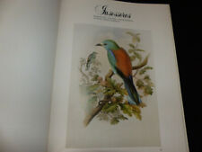 Oiseaux john gould d'occasion  Romans-sur-Isère
