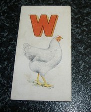 wyandotte for sale wyandotte for sale LEIGHTON BUZZARD