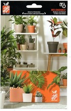 Home depot ferns for sale  Lanesborough