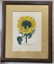 baroque flowers print framed for sale  Pleasant Hope
