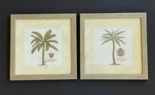 framed prints palm for sale framed prints palm for sale Royersford