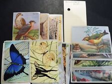 Image carte scolaire d'occasion  Senones