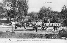 Vosges beef coupling d'occasion  Expédié en Belgium