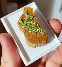 Pyromorphite mas dieu d'occasion  Cournon-d'Auvergne