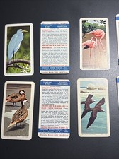 Brooke bond usa for sale  RINGWOOD