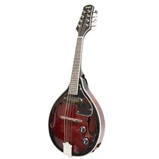 Stagg m50e acoustic for sale  USA