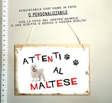 cani maltese usato cani maltese usato Italia
