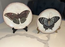 Set butterfly plates for sale  Roswell
