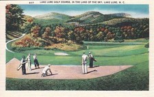Postcard lake lure for sale  Collegeville