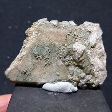 D63 insolito cristallo usato  Italia